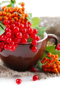 在杯子里，用麻布餐巾，孤立的白色衬底上的红色和橙色的浆果