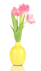 粉色郁金香在明亮的花瓶，孤立在白色