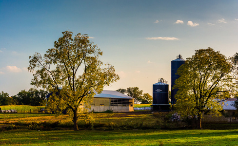 树木和在农村亚当斯县，宾夕法尼亚州的一个农场上的料仓