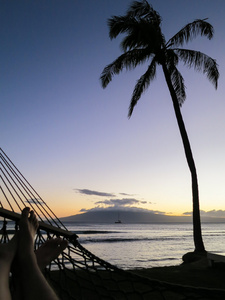 棕榈树和吊床上在日落海滩