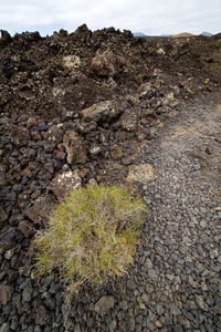 石 volcanes 兰萨罗特岛帝曼法雅天空山