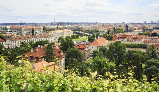 在布拉格中心城市景观