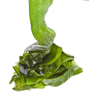 昆布海带海带(昆布)堆山收了起来孤立在白色背景照片