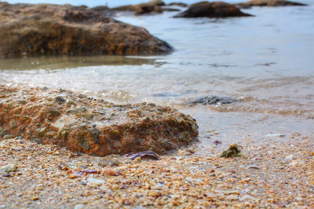 在海滩上的岩石海岸