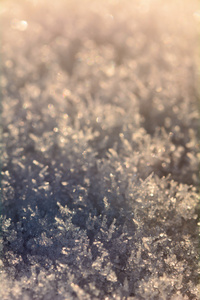 在黎明的阳光下的雪晶体