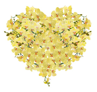 心的形状构成从黄色的兰花花