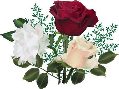 束白色衬底上分离出的三个不同的颜色玫瑰