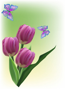 黑郁金香花朵和两只蝴蝶图片