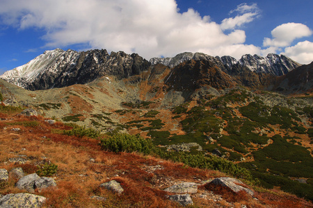 华山 全景图