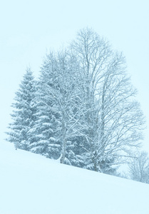 冬山雾降雪风景