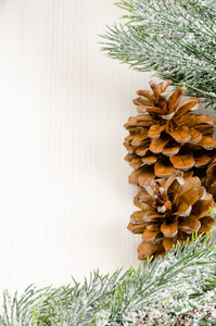 圣诞枞树边界与锥体