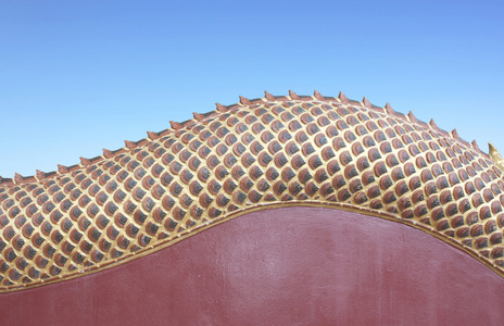 金黄色的龙鳞图片