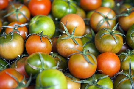 普罗旺斯，法国。在城市市场的柜台上的环保型产品。成熟的西红柿