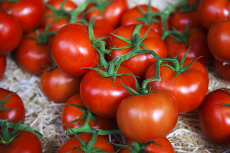 普罗旺斯，法国。在城市市场的柜台上的环保型产品。成熟的西红柿