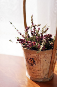 美丽的紫色希瑟，在一种老式的木制壶