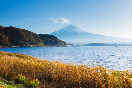 山富士在秋天