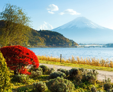 山富士在秋天