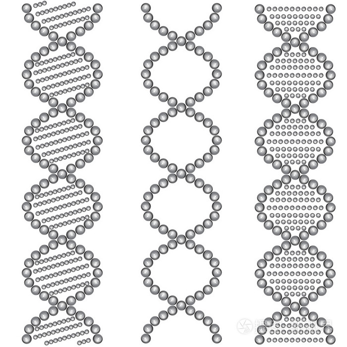 dna 的符号。矢量图