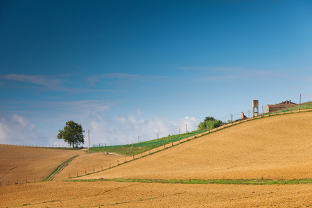 在 toscany，意大利乡间风景