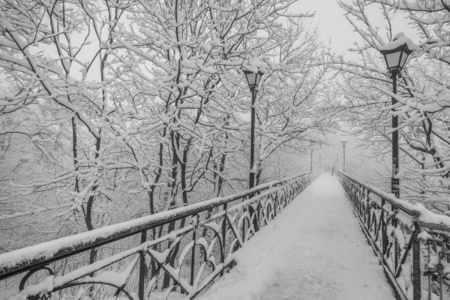 冬季城市公园。在基辅的情人桥。乌克兰