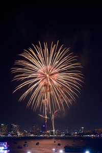 烟花国际节日