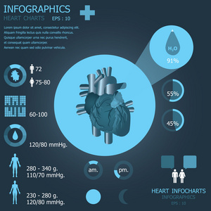 心 infocharts 图