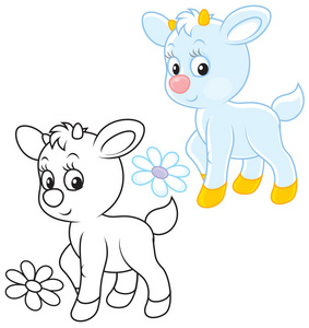 黑色小山羊图片