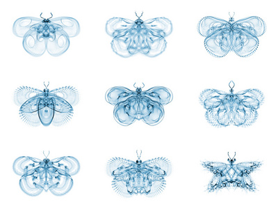 虚拟分形蝴蝶