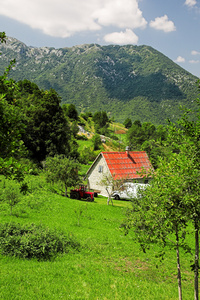 在黑山农村