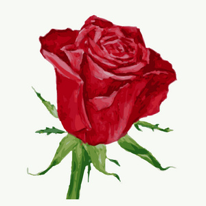 有花的玫瑰玫瑰 red.vector 图