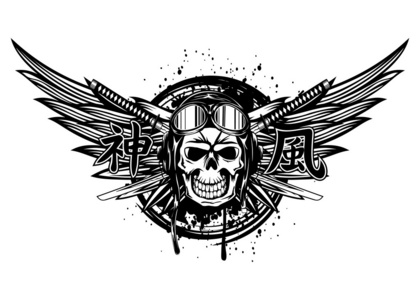 轰炸机的帽子图片