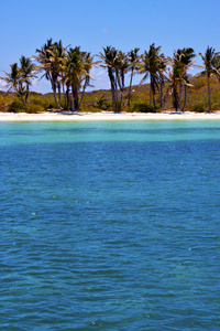 海岸线和 isla contoy 墨西哥