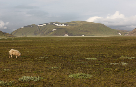 冰岛。南方地区。fjallabak。流纹岩网状结构与景观