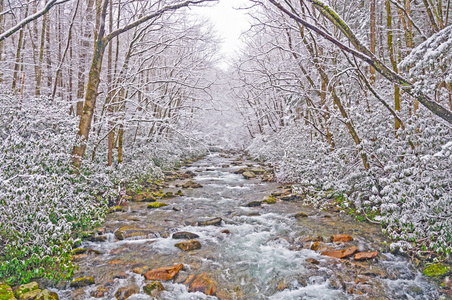 在春季暴风雪中的山间溪流图片