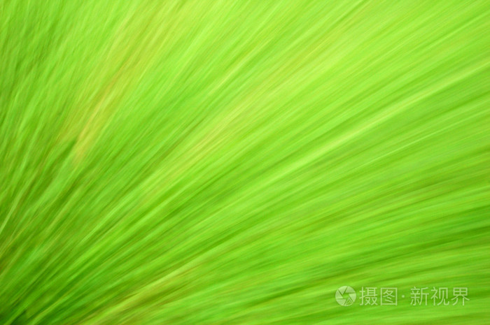 绿色的模糊背景