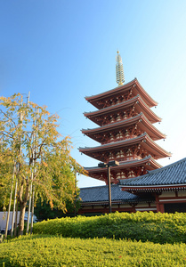 五层宝塔在浅草寺在东京，日本