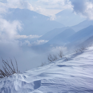 冬山现场