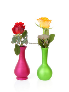 在白色背景上的花瓶中的七彩玫瑰