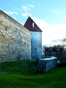 草和天空的背景上的古城堡
