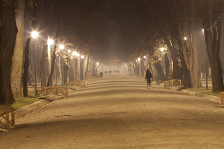 在公园里有薄雾的夜