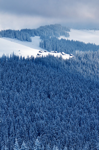 在山的小山村