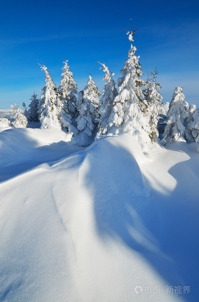 新鲜的雪在山上