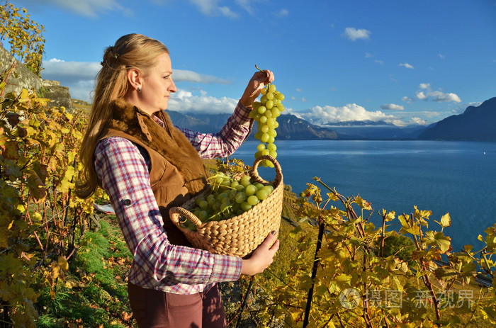 女孩与一篮子的葡萄.瑞士拉沃地区