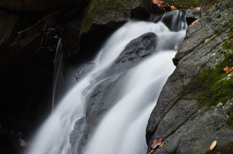 cascade dans la fort en automne