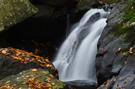 cascade dans la fort en automne