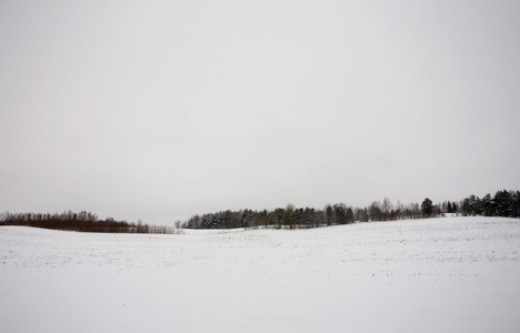 冬季景观与雪和森林