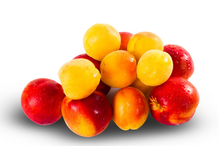 新鲜成熟的油桃和 appricottes
