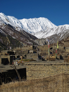 khangsar 和 Tilicho 峰老村