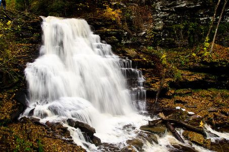 cascade dans la fort en automne