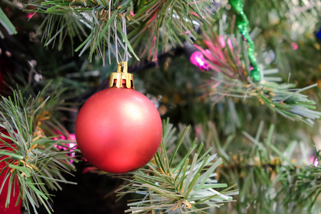 一棵树上的圣诞装饰品